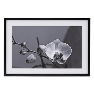Imagen de Cuadro Flor Impresión Lámina de Papel 2 x 95 x 65 cm 